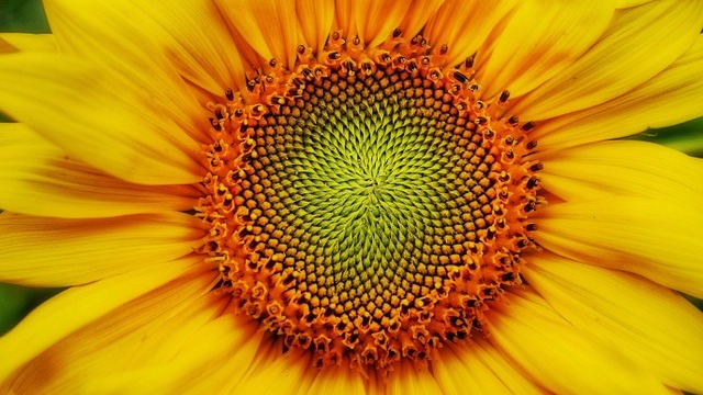 Image of the sun which symbolizes mobile application testing